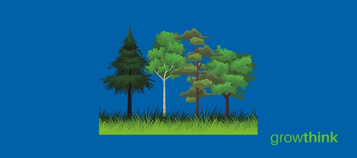 start a tree cutting business