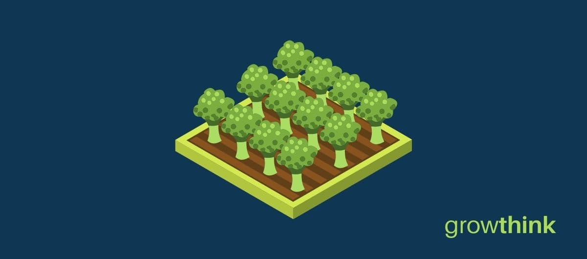 Tree Farming Business Plan