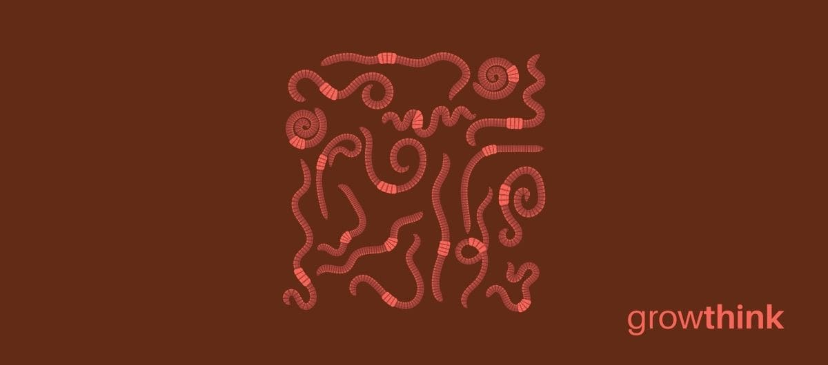 worm farm business plan