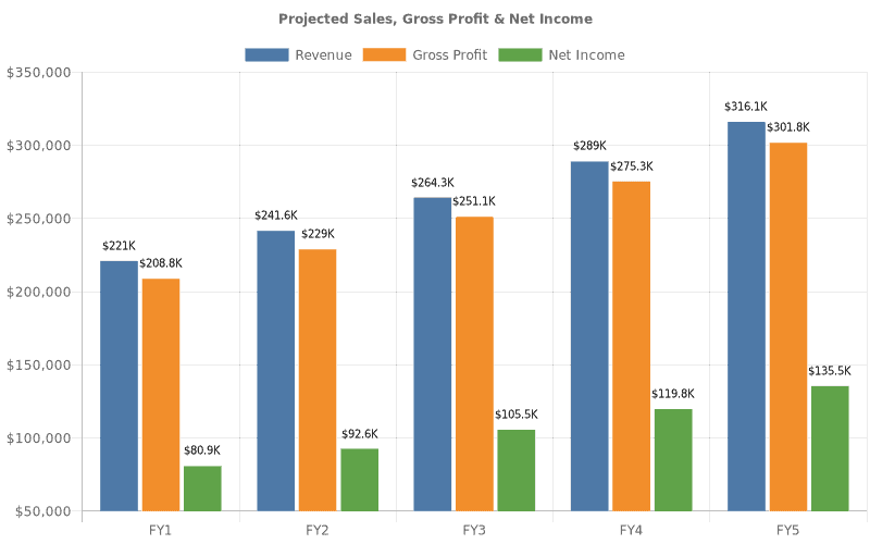 CrossFit gym financial projections